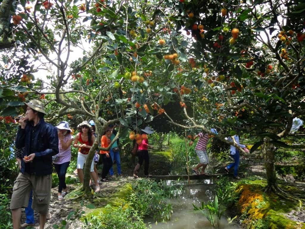 Vườn trái cây Trung An