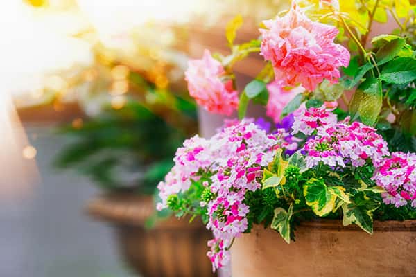 3 lễ hội văn hóa đặc sắc ở Điện Biên