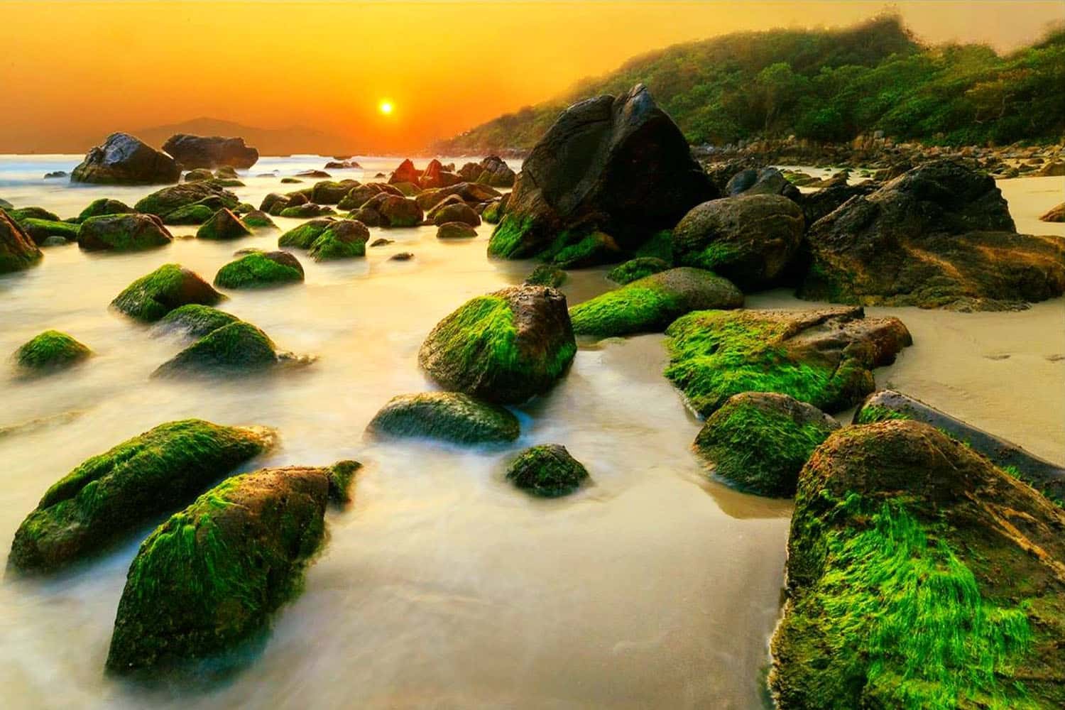 Chiêm ngưỡng mặt trời mọc