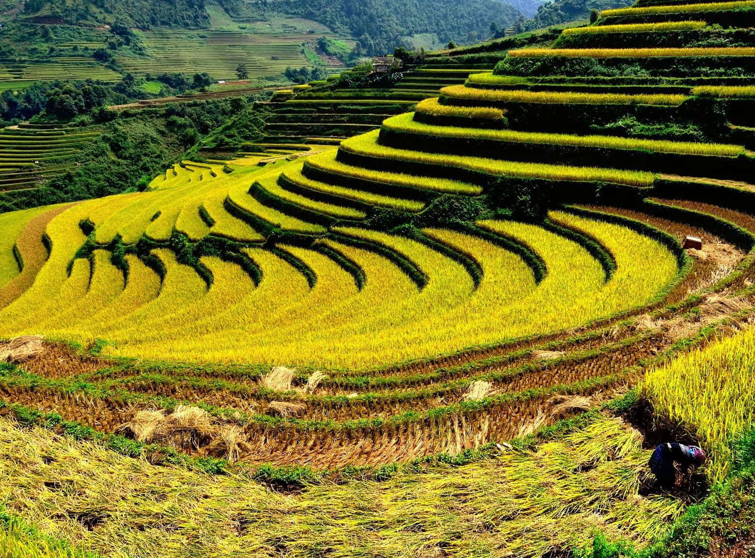 Lào Cai mang vẻ đẹp hoang sơ miền sơn cước