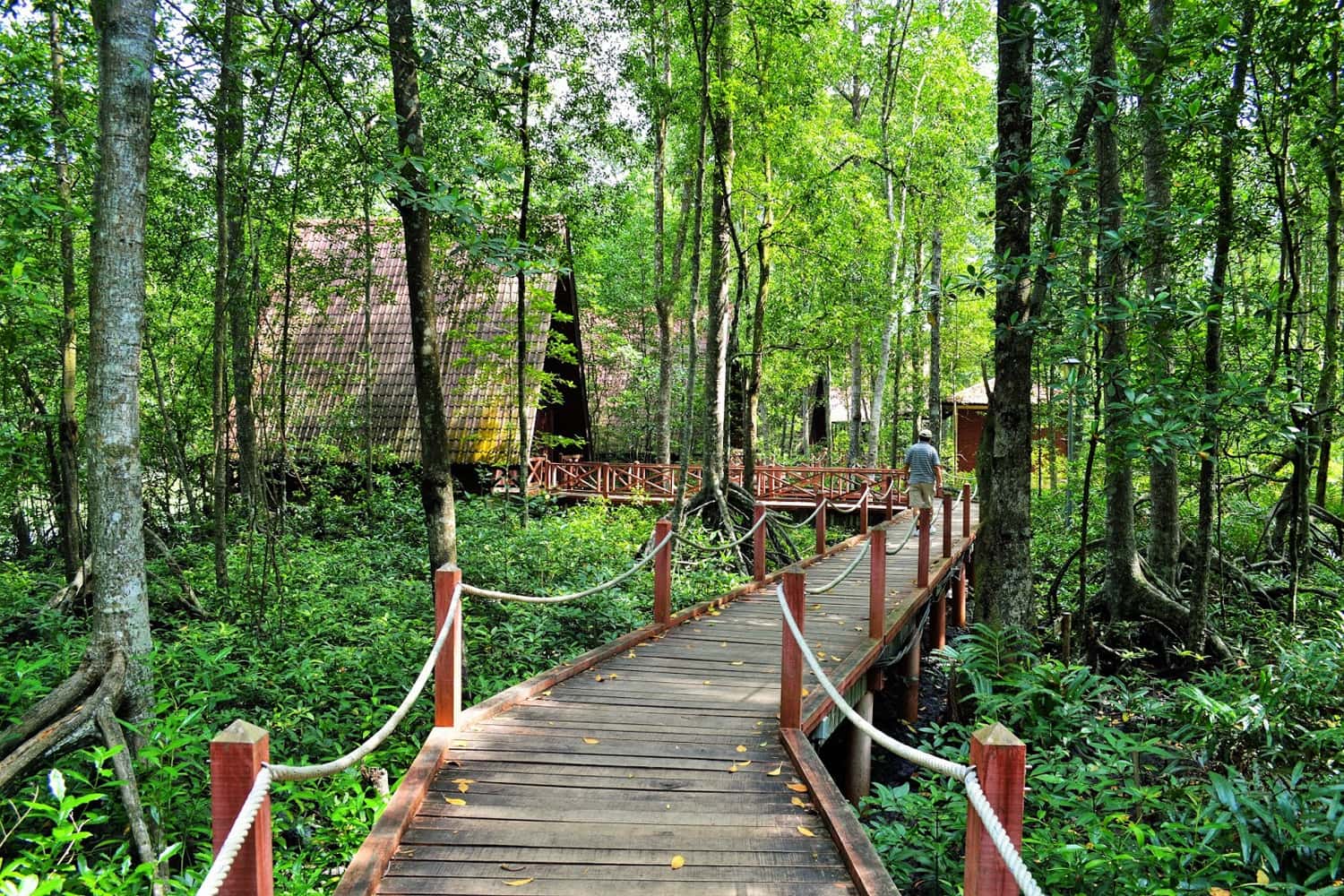 Rừng ngập mặn Kuala Sepetang