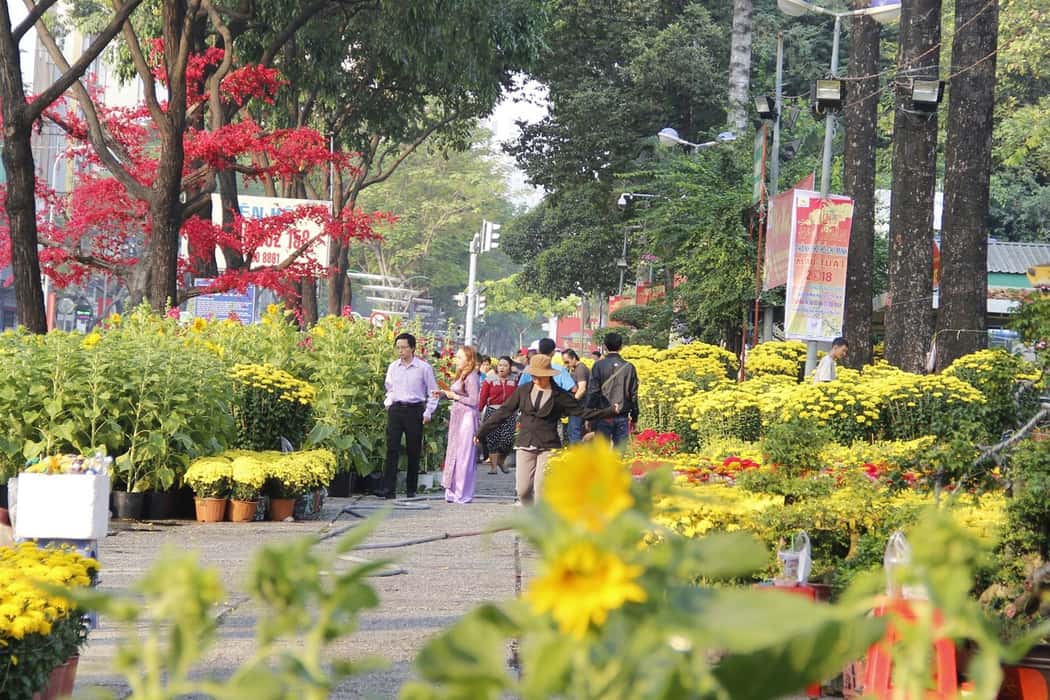 Chợ hoa ngày tết