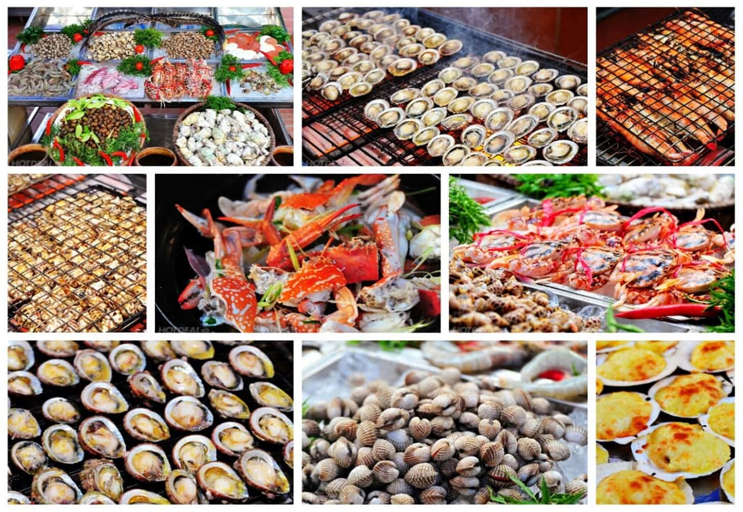 Hải sản tươi