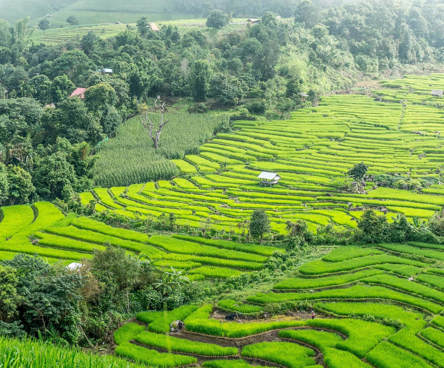 Thị trấn Pai xinh đẹp