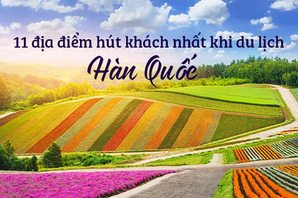 Top 11 địa điểm du lịch hấp dẫn nhất Nhật Bản