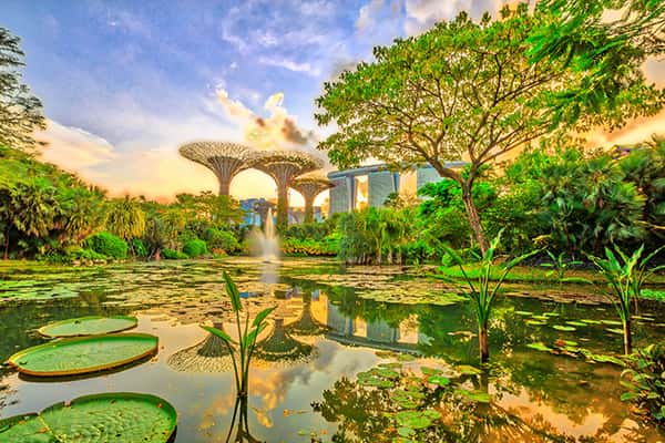 Hướng dẫn khám phá trọn vẹn Singapore trong 24 giờ