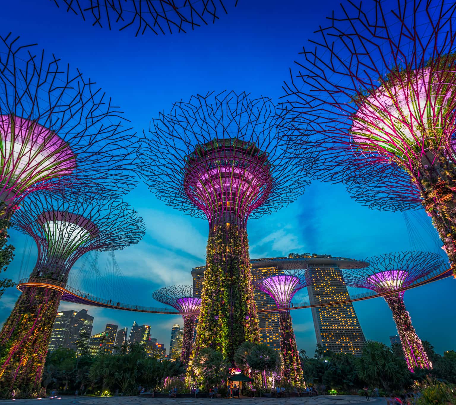 Khu 2 nhà kính tại Gardens by the Bay