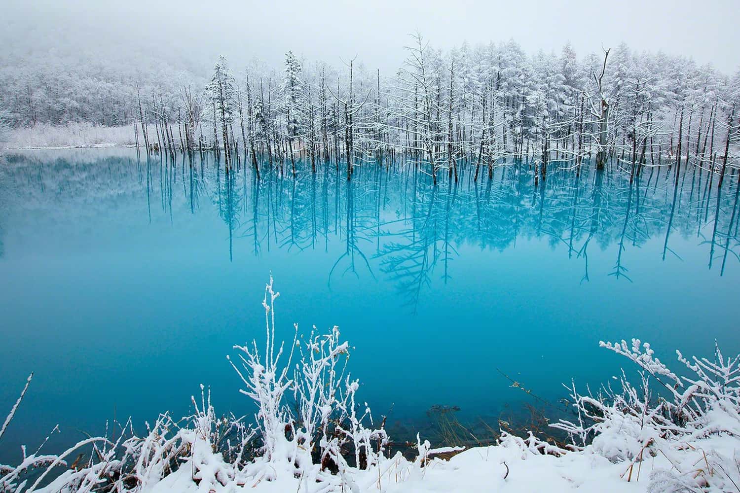 Hồ Xanh Biei, Hokkaido