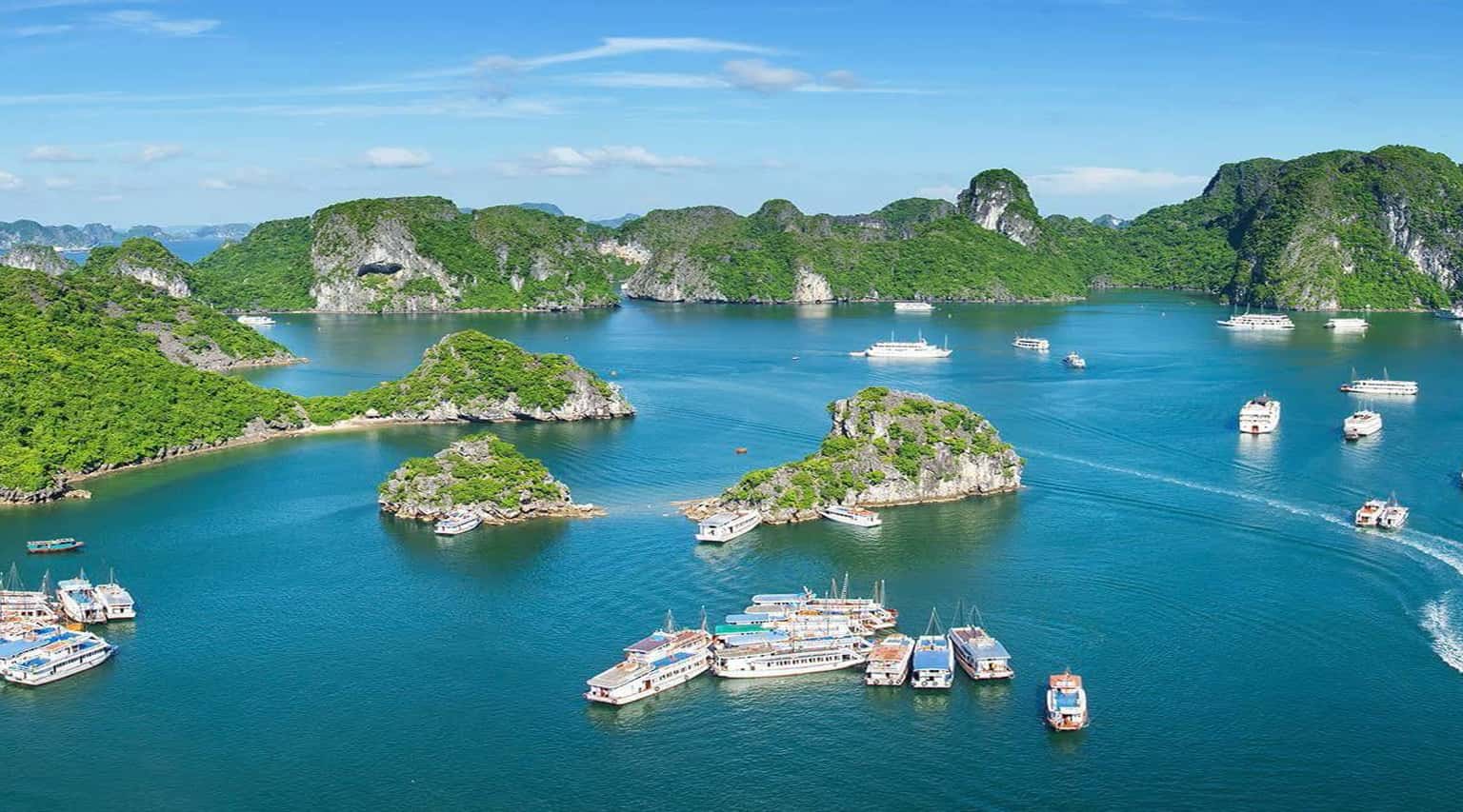 Tour du lịch đảo Cát Bà - vịnh Lan Hạ 3 ngày 2 đêm