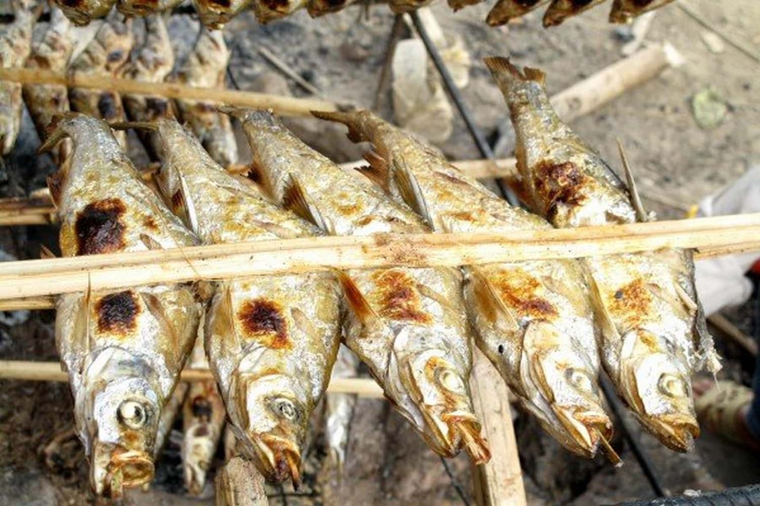 Cá sông Đà nướng