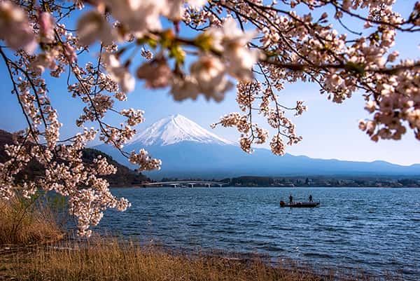 Hướng dẫn khám phá trọn vẹn Tokyo chỉ trong 24h