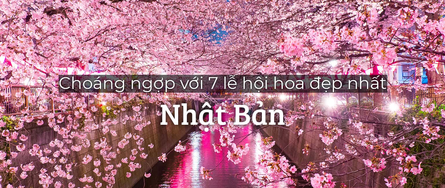 Choáng ngợp với top 7 lễ hội hoa đẹp nhất Nhật Bản