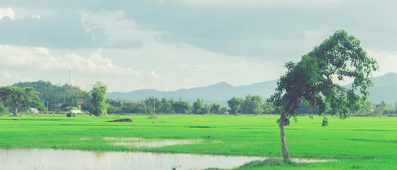 Vé máy bay Hải Phòng Buôn Ma Thuột