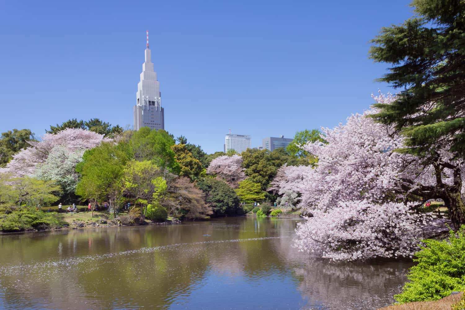 Vườn quốc gia Shinjuku Gyoen