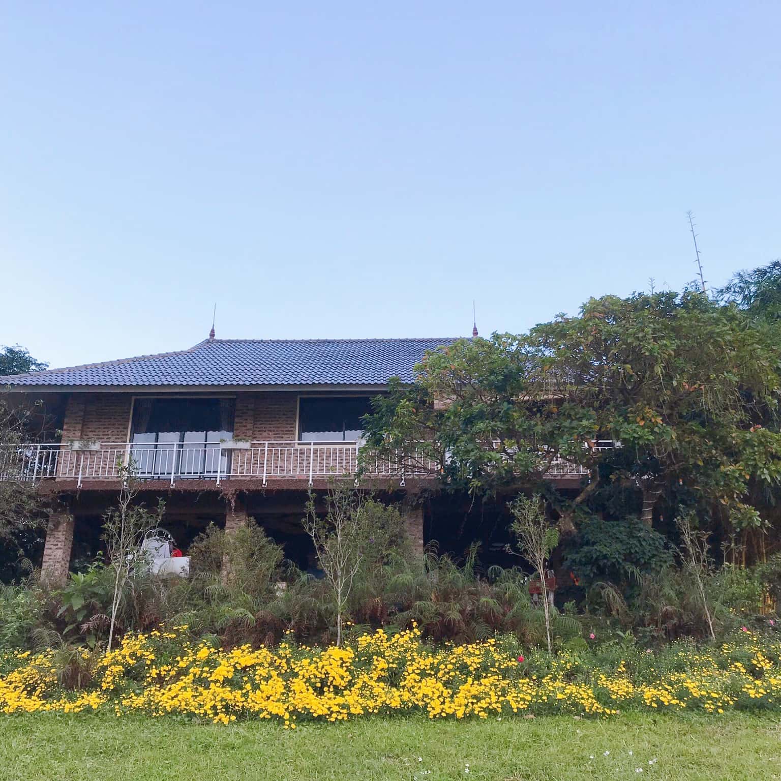 Bin’s House - Không gian thiên nhiên trong lành bình yên