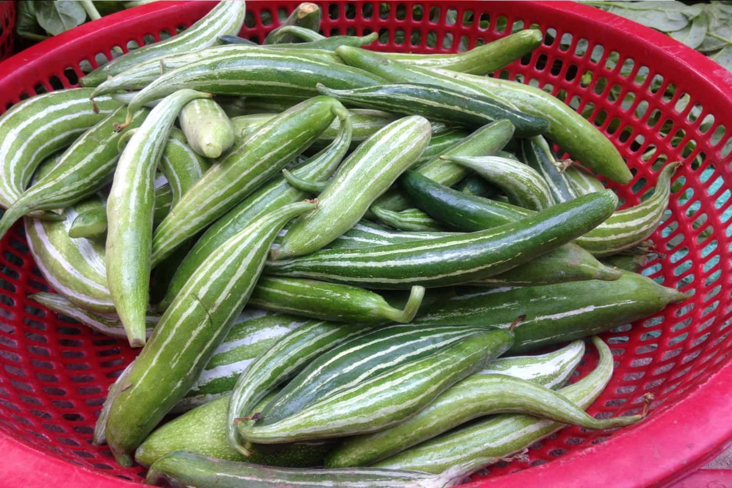 Quả lặc lày 