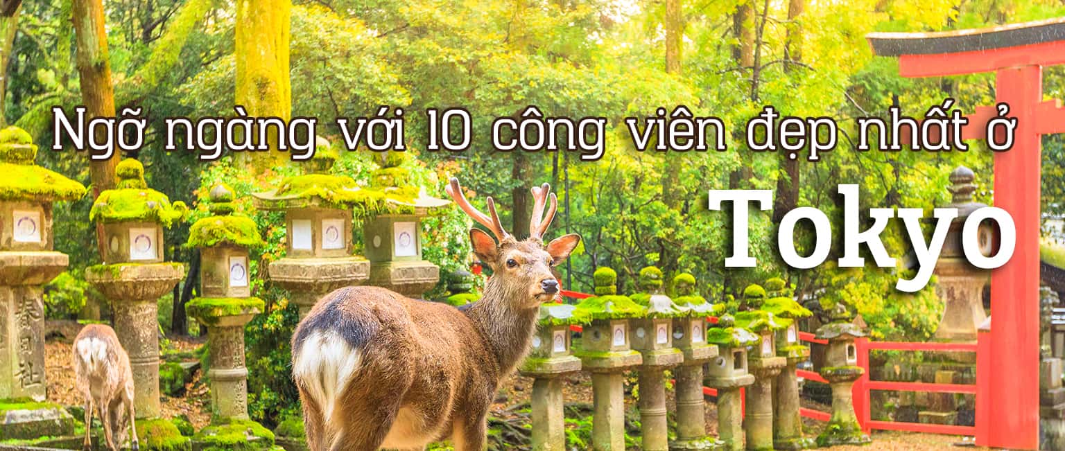 Ngỡ ngàng với 10 công viên đẹp nhất ở Tokyo, Nhật Bản