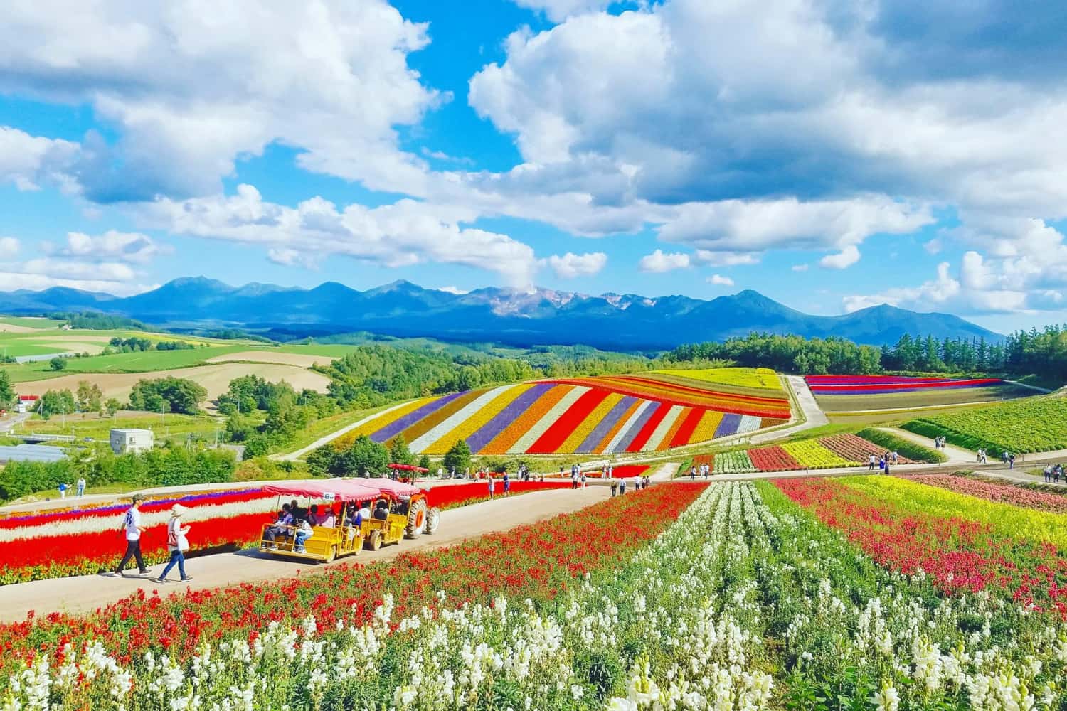 Biei - Furano