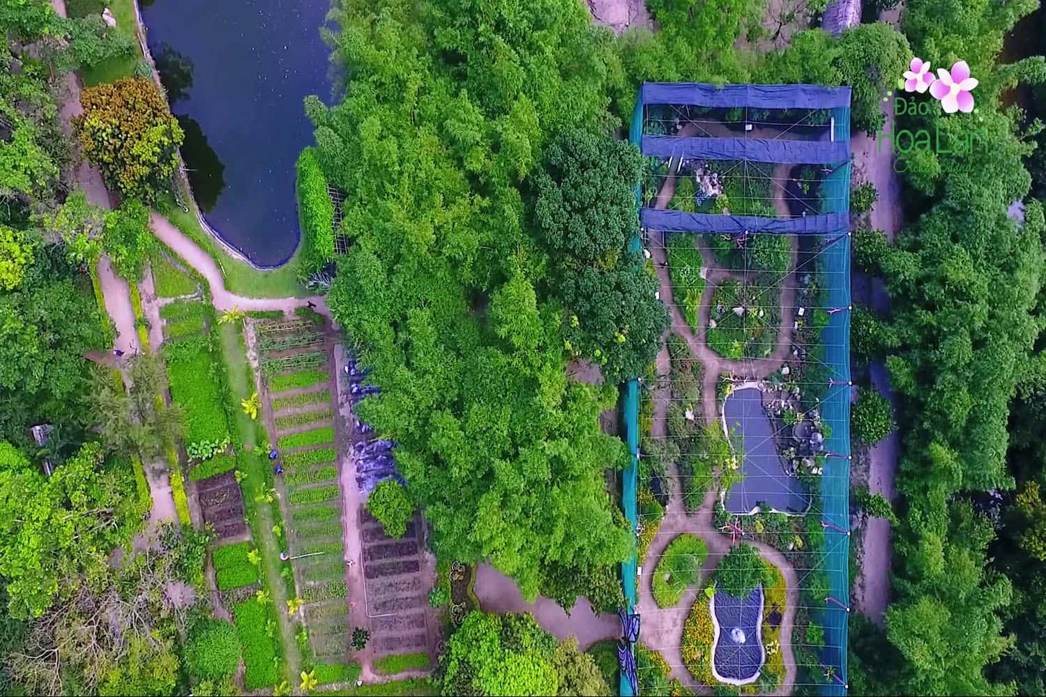 Dạo quang đảo Hoa Lan