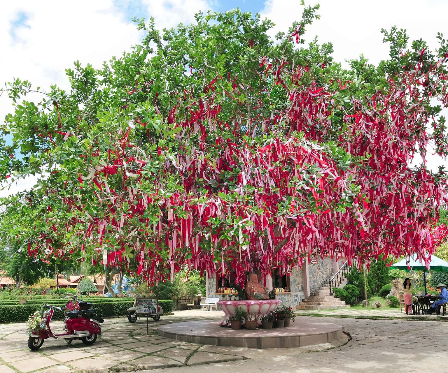 Cây nguyện ước tình yêu 