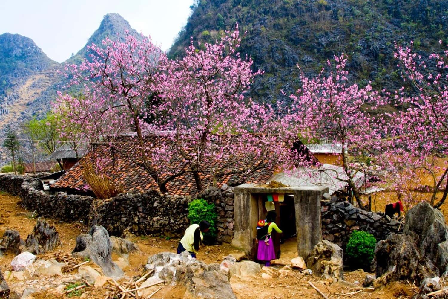 Tháng 1 đến tháng 3 ở Hà Giang
