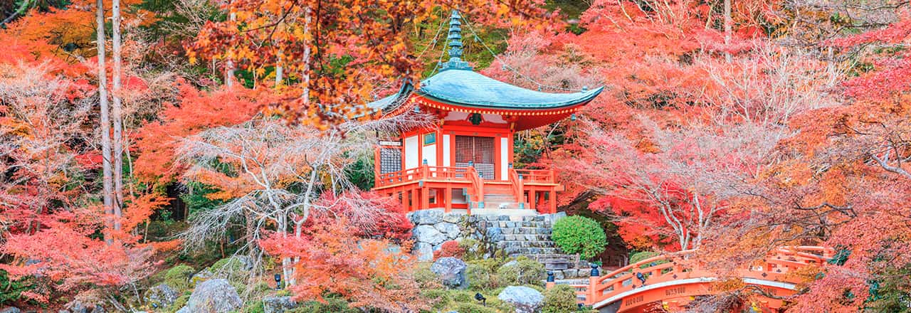 Hướng dẫn khám phá trọn vẹn Tokyo trong 48 giờ