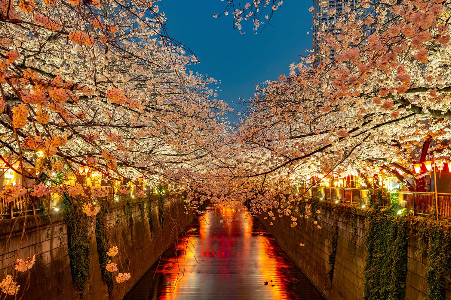 Sông Meguro