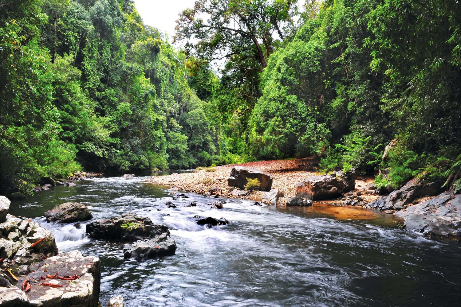  Taman Negara