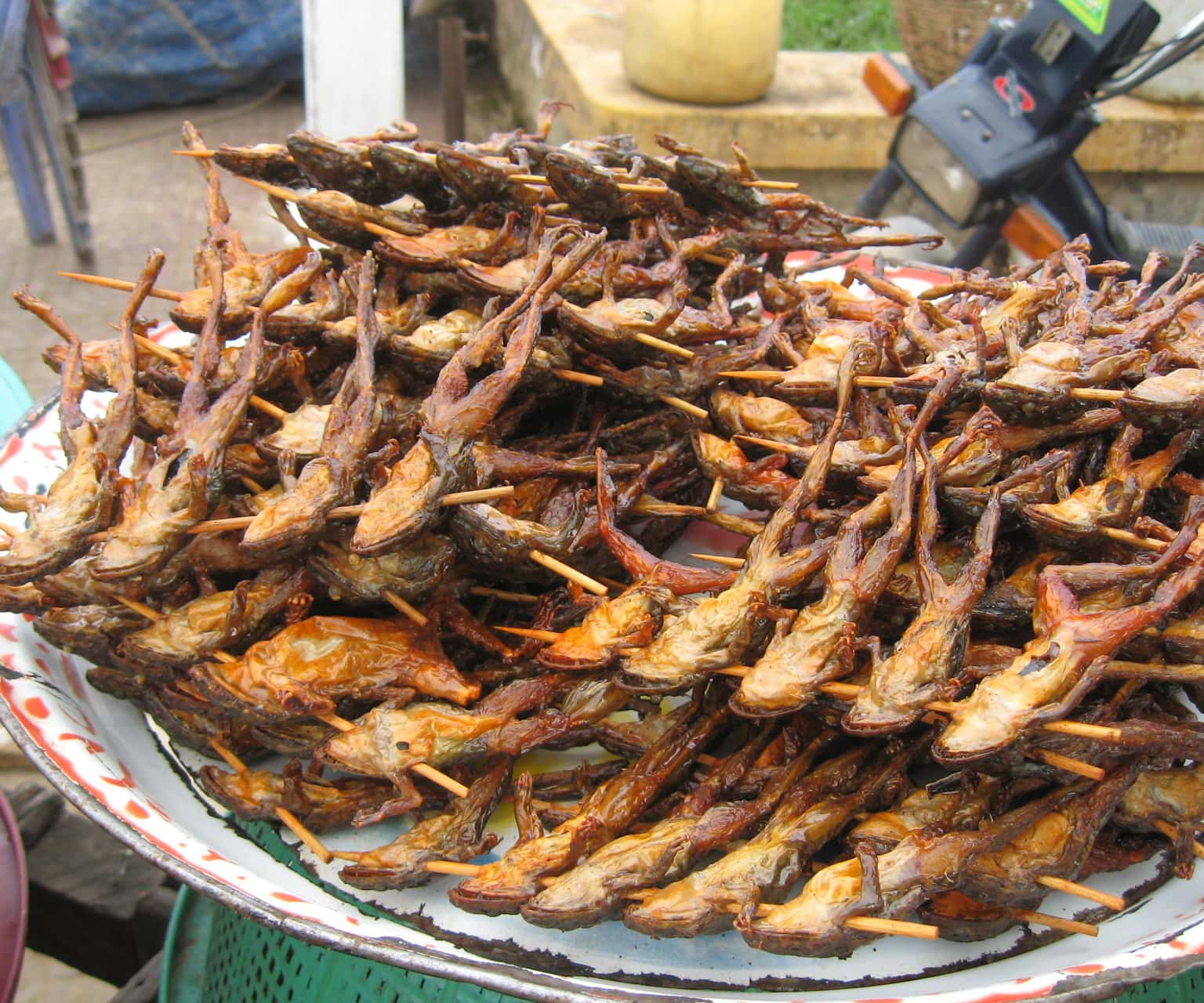 Nếm thử món ăn từ côn trùng