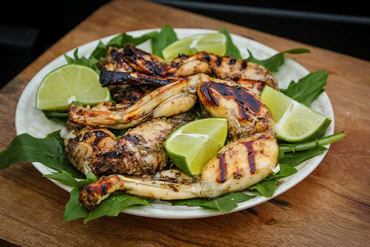 Grilled frog