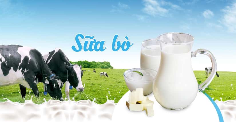 Sữa tươi Mộc Châu thơm ngon bổ dưỡng
