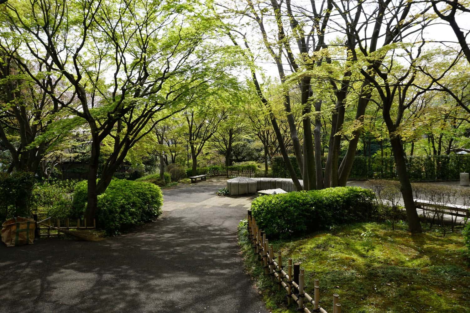 Ikedayama Park