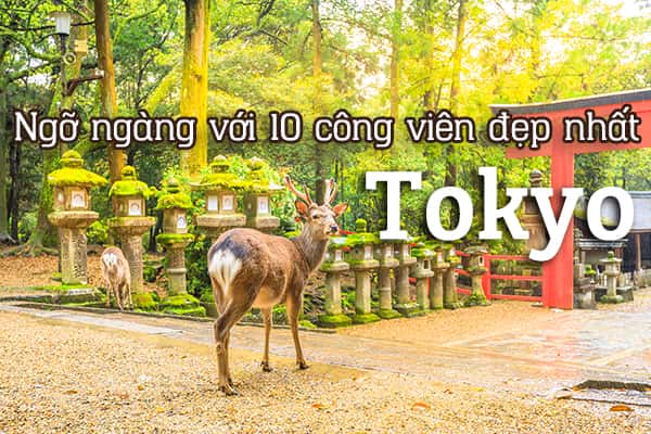 Ngỡ ngàng với 10 công viên đẹp nhất ở Tokyo, Nhật Bản