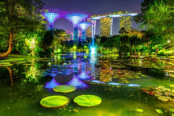 Top 10 trải nghiệm thú vị về đêm chỉ có tại Singapore