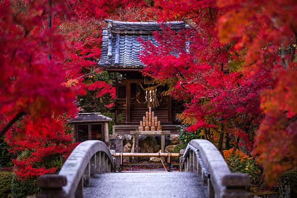 Top 9 ‌truyền‌ ‌thống‌ ‌văn hóa độc‌ ‌đáo‌ ‌ở‌ ‌Kyoto‌, Nhật Bản