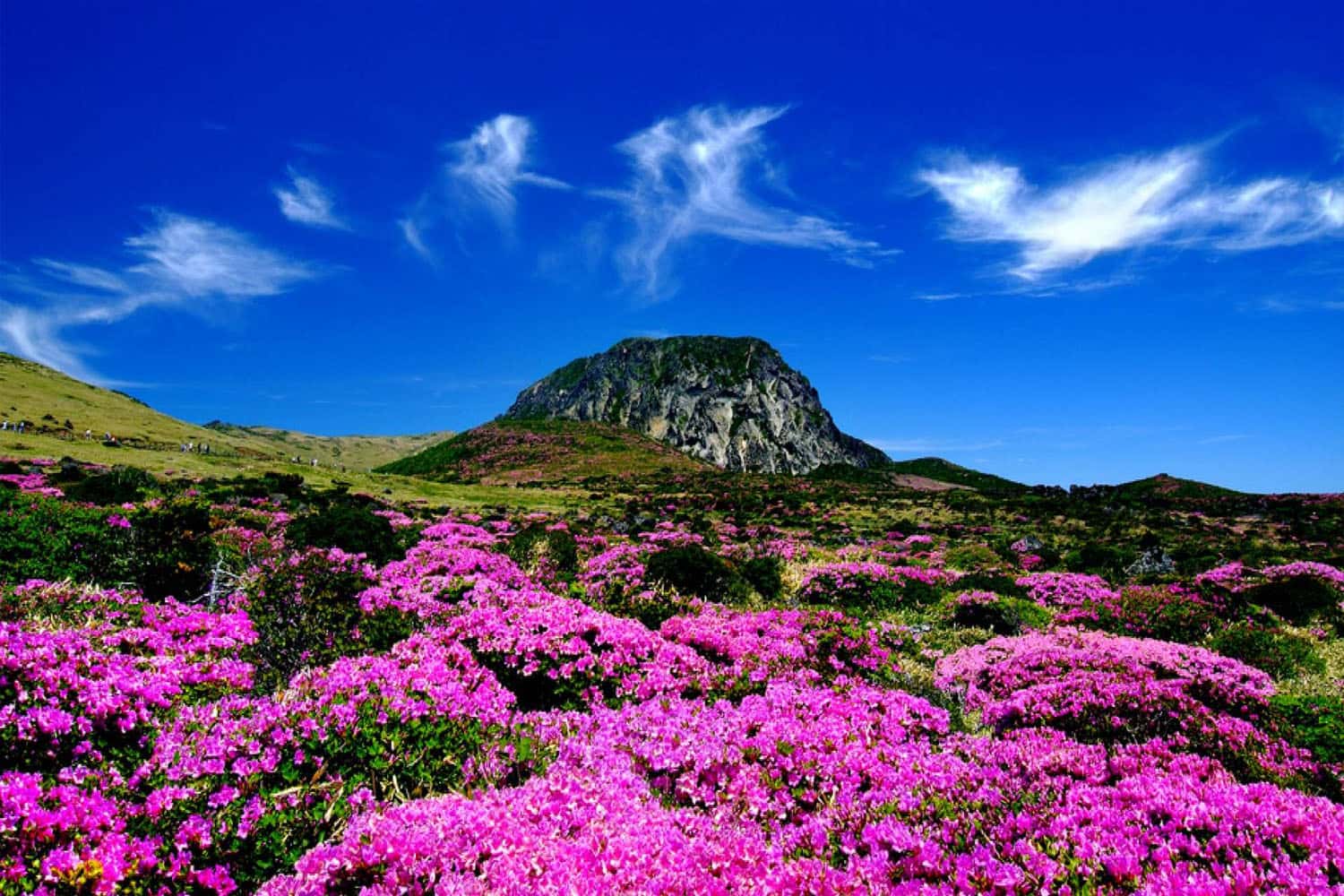 Đảo Jeju