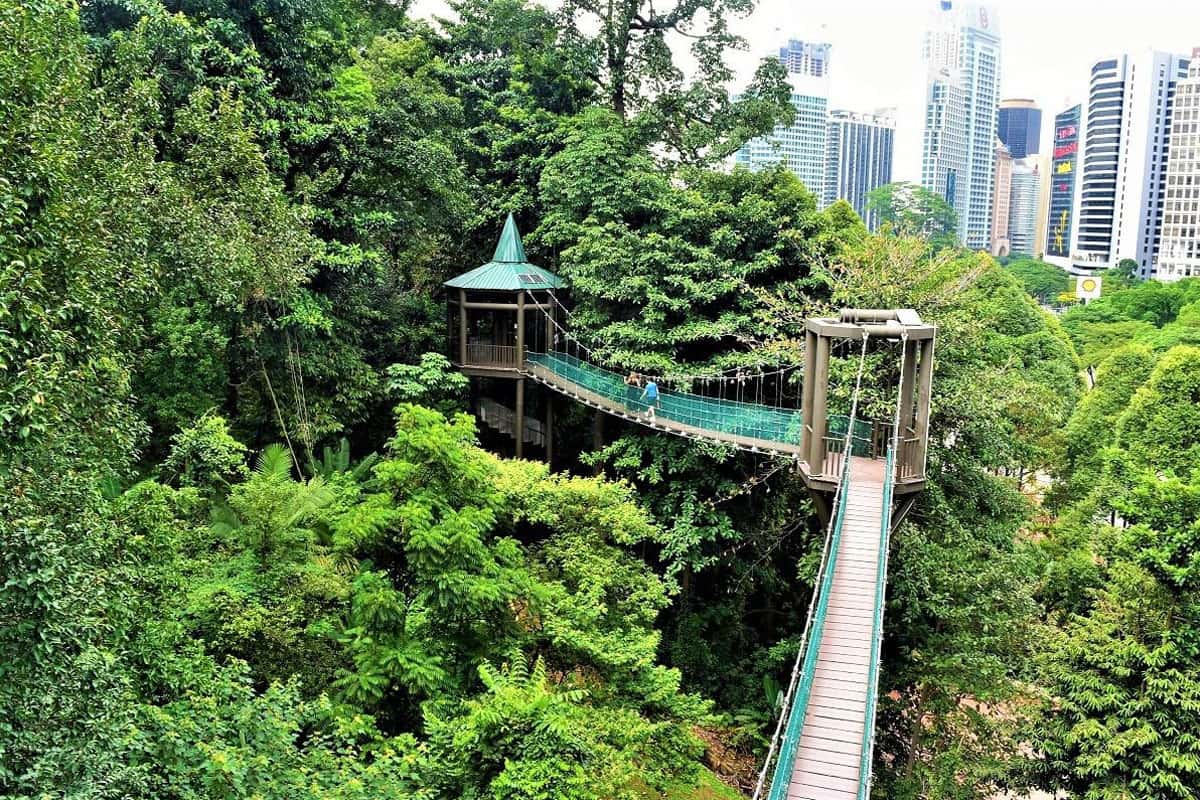  Rừng sinh thái