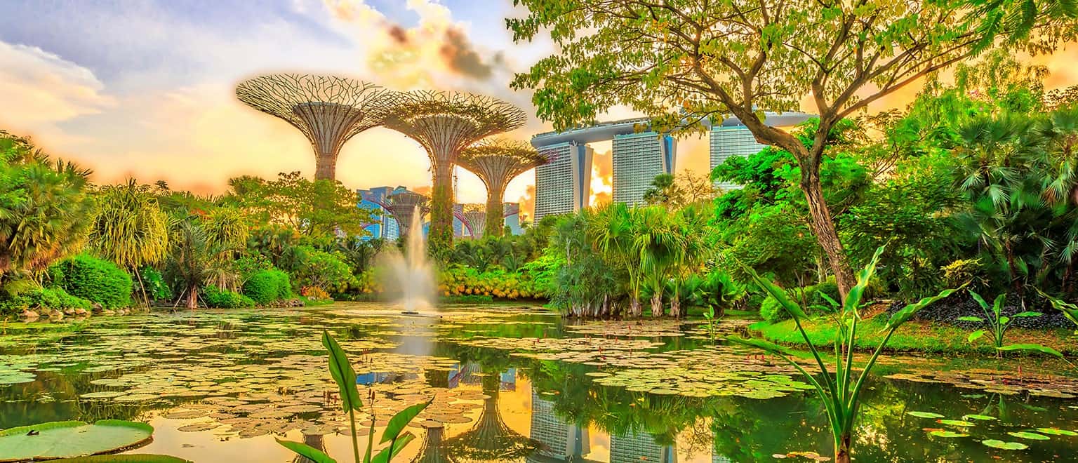 Hướng dẫn khám phá trọn vẹn Singapore trong 24 giờ