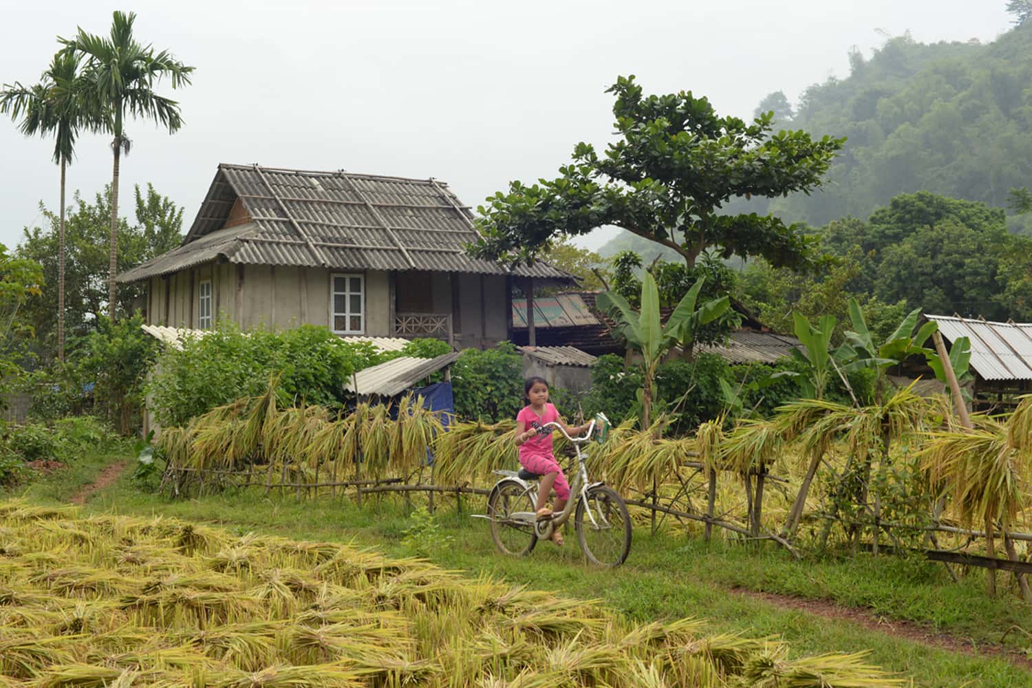 Bản Pom Coọng