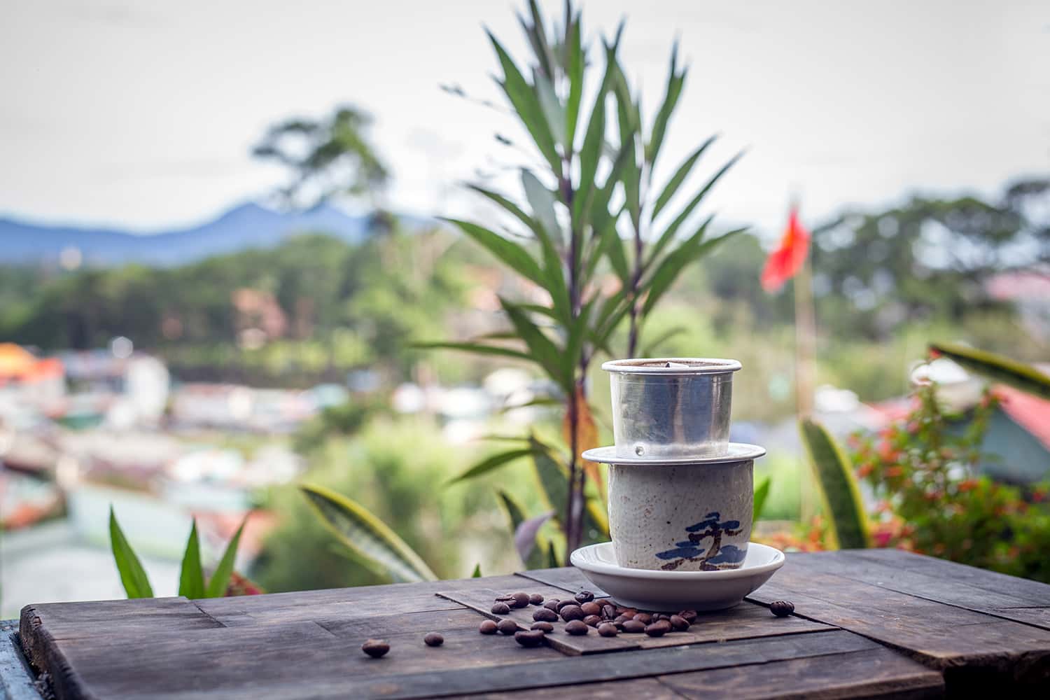 Thưởng thức cà phê tại Đà Lạt