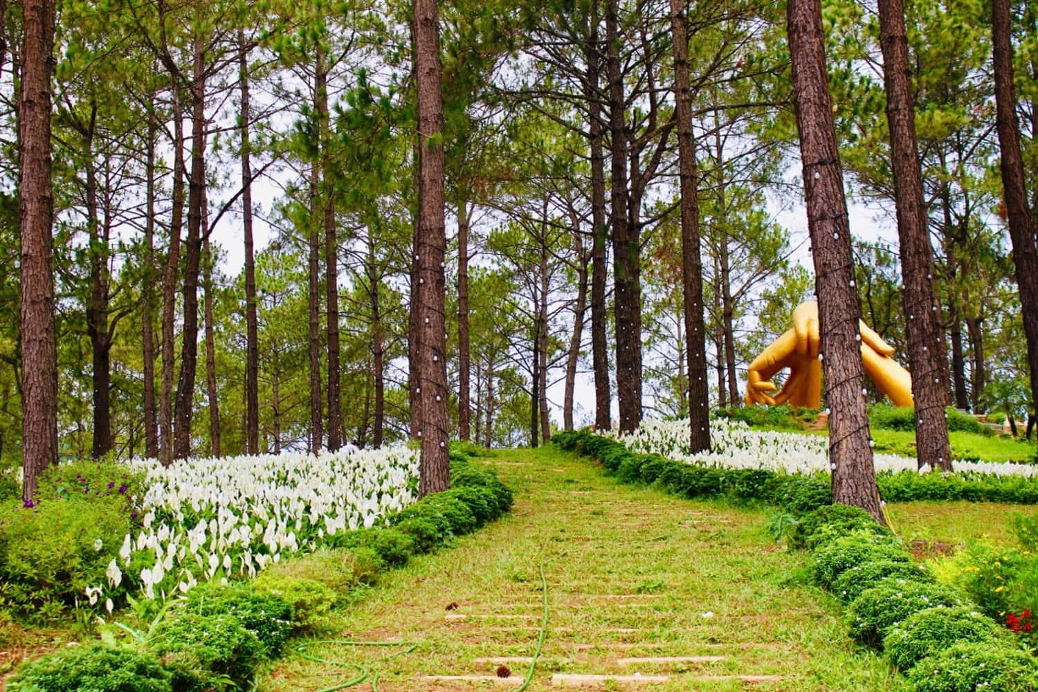 Bản Áng có khí hậu cao nguyên trong lành mát mẻ