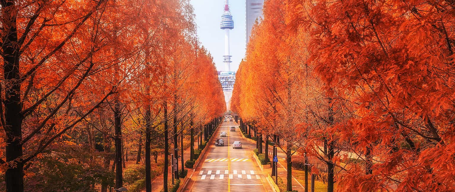Nên đi du lịch Seoul vào thời điểm nào trong năm?