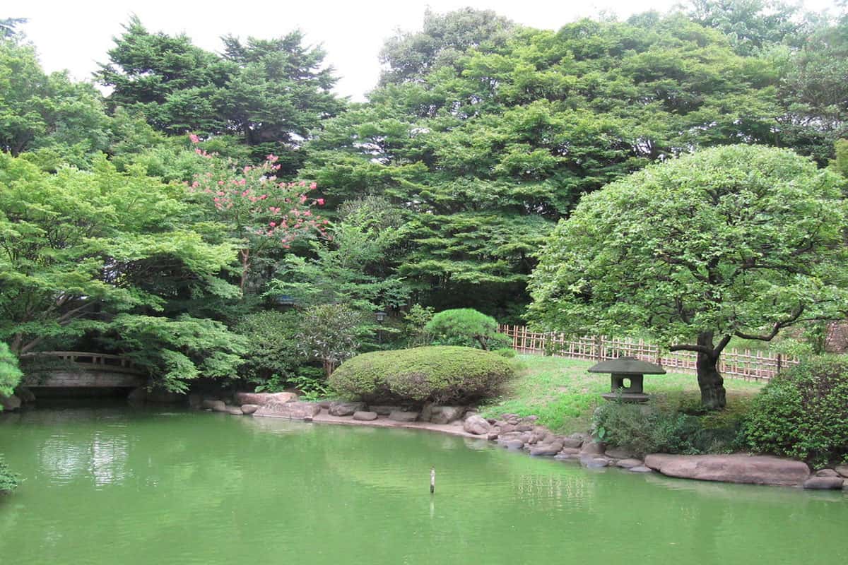 Khu bảo tồn thiên nhiên Shizen Kyoiku-en
