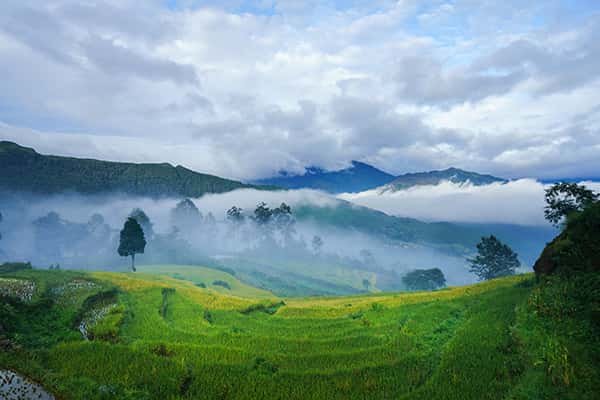 Kinh nghiệm săn mây Y Tý chỉ dân ‘siêu phượt’ mới có được