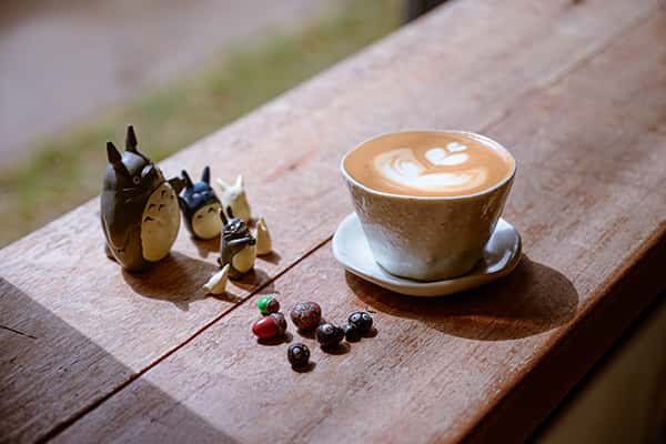 Top 8 quán cafe thú cưng độc đáo, siêu kute ở Hà Nội
