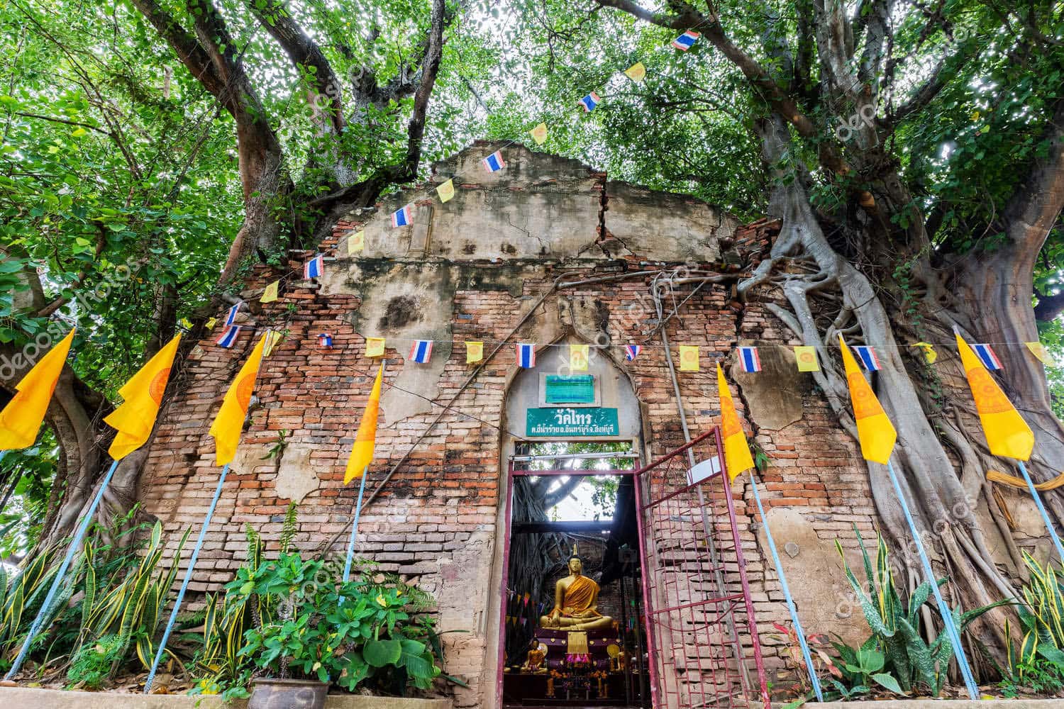  Cảm nhận về Wat Sai