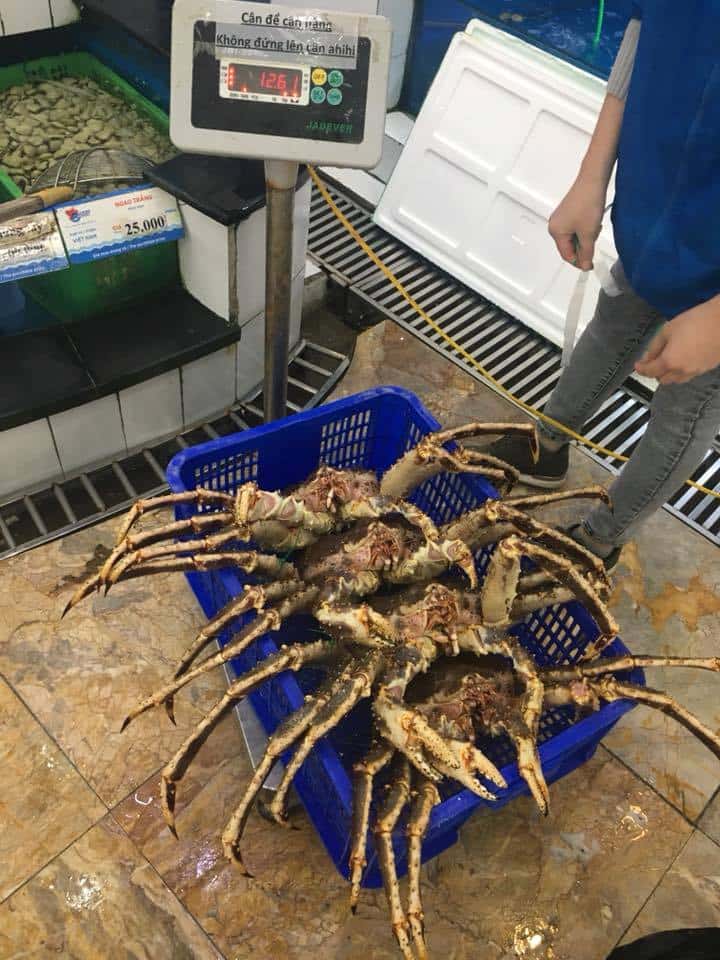 Cua luôn tươi ngon