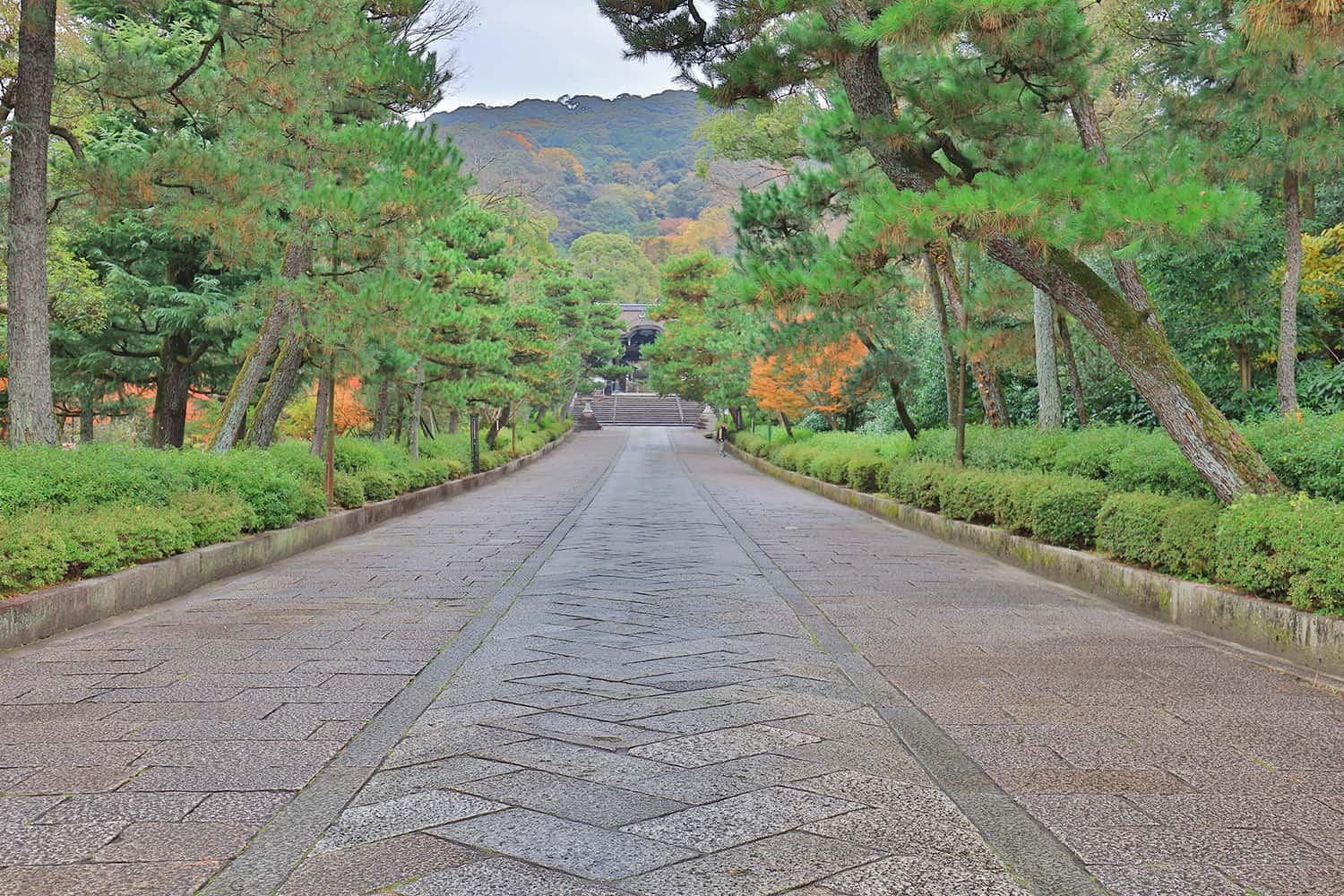 Vườn Hojo tại đền Tofukuji