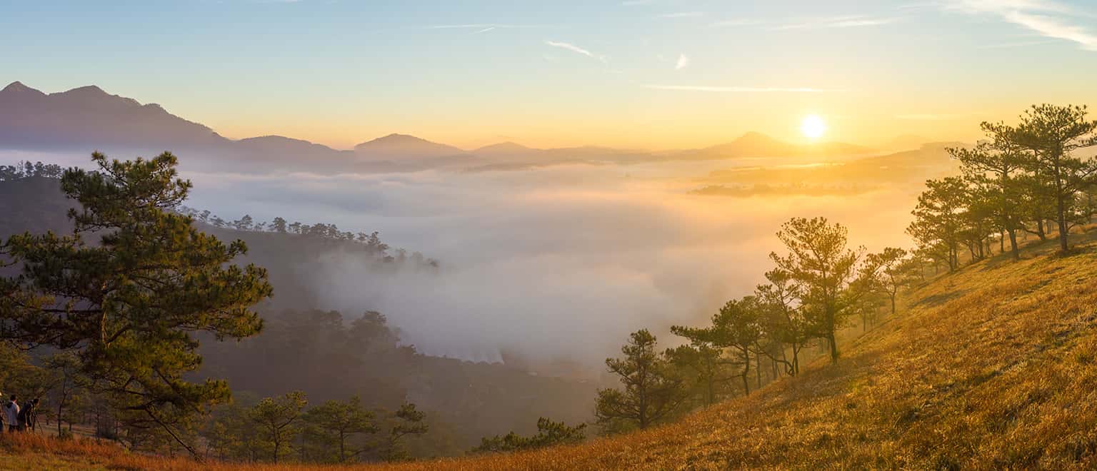 Vé máy bay đi Đà Lạt