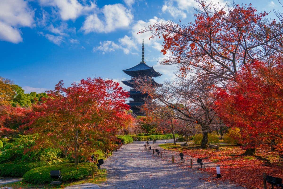 Đền To-ji